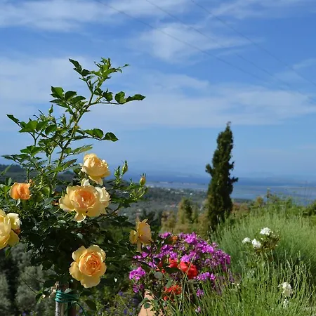 Skyfall Villa Lygia (Lefkada)